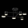 Потолочная люстра Evoluce SLE201042-06