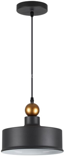 Подвесной светильник Odeon Light 4088/1