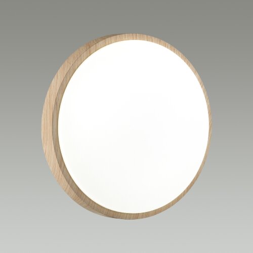 Настенно-потолочный светильник Sonex 7607/DL