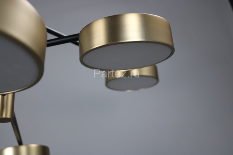 Потолочная люстра Zortes ZRS.01243.08