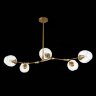 Потолочная люстра Evoluce SLE154823-05