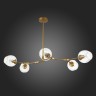 Потолочная люстра Evoluce SLE154823-05