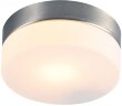 Потолочный светильник Arte Lamp A6047PL-1SS