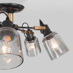 Потолочная люстра Eurosvet 70111/5 черный