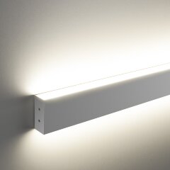 Настенный светильник Elektrostandard 101-100-40-53