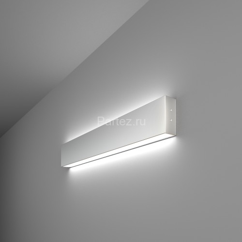 Настенный светильник Elektrostandard 101-100-40-53