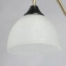 Потолочная люстра MW-Light 318015003