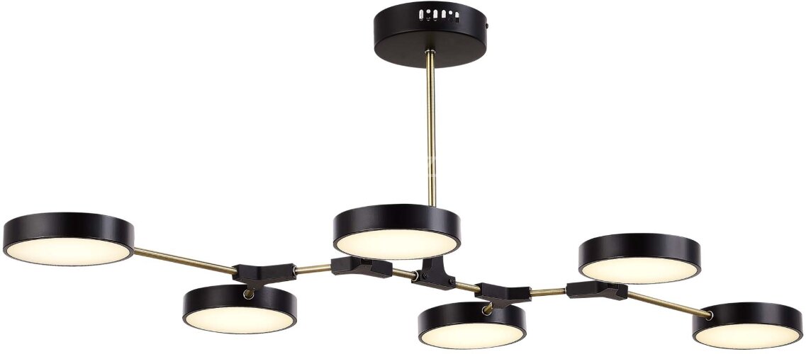 Потолочная люстра Evoluce SLE6004-402-06