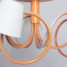 Потолочная люстра MW-Light 480012805