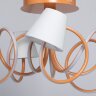 Потолочная люстра MW-Light 480012805