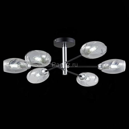 Потолочная люстра Evoluce SLE155512-06