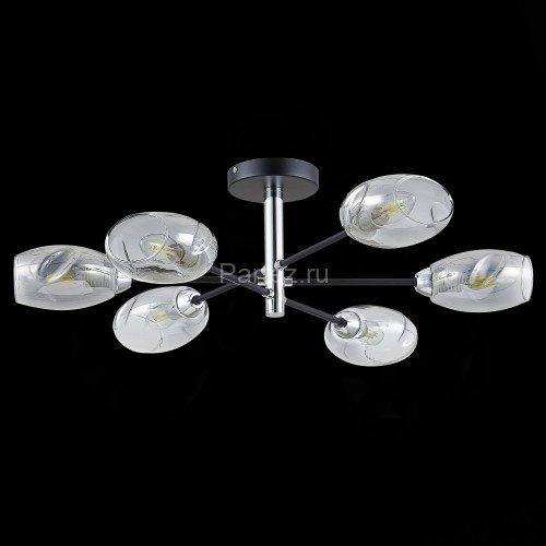 Потолочная люстра Evoluce SLE155512-06