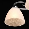 Потолочная люстра MW-Light 676014805