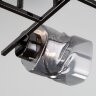 Потолочная люстра Eurosvet 30165/6 черный жемчуг
