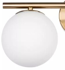 Бра Lightstar 815523