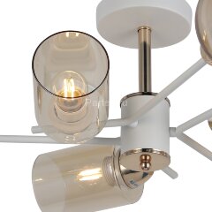 Потолочная люстра ILLUMICO IL8243-6COU-79 WH GD