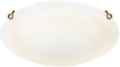 Настенно-потолочный светильник Sonex 7602/DL