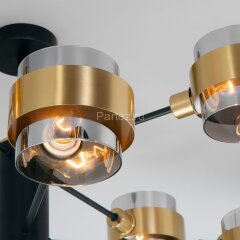 Потолочная люстра Eurosvet 70127/8 черный/дымчатый