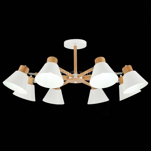 Потолочная люстра Evoluce SLE103702-08