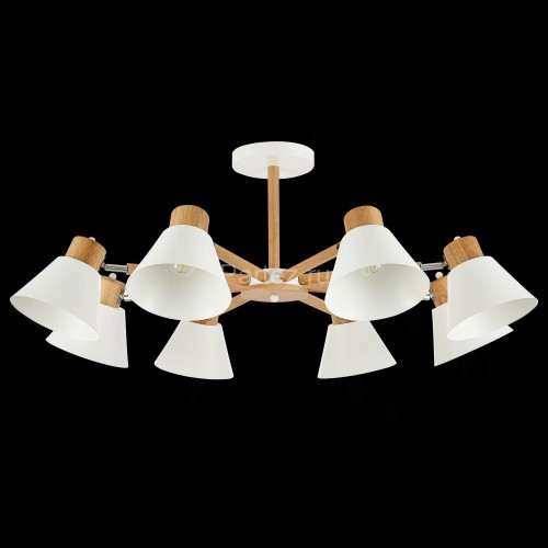 Потолочная люстра Evoluce SLE103702-08